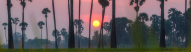 Coucher de soleil sur Ubud