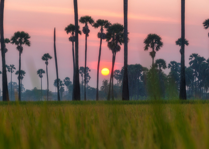 Coucher de soleil sur Ubud