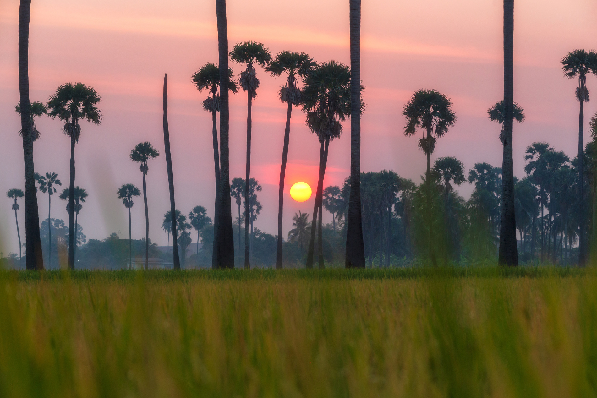 Coucher de soleil sur Ubud