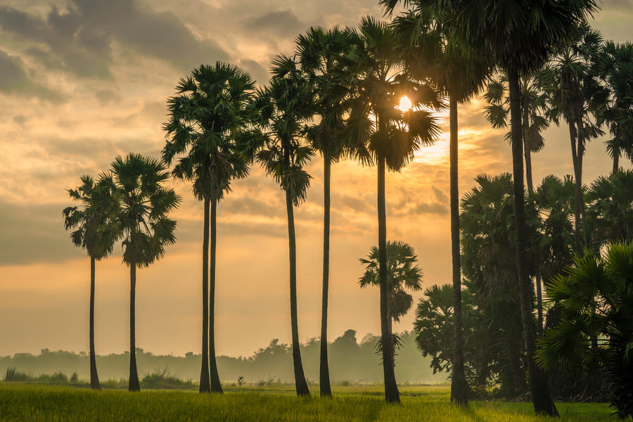 Lever de soleil sur Ubud