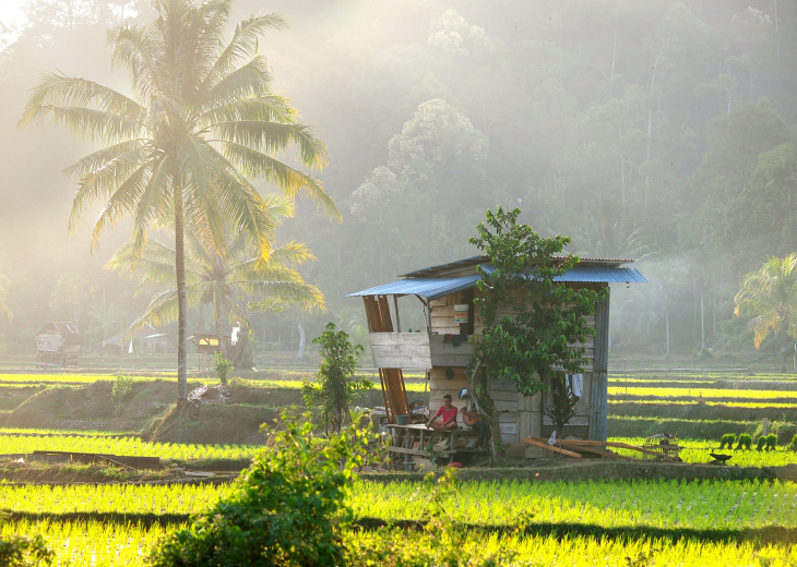 Essentiel de Bali