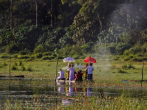 Lac de Tamblingan