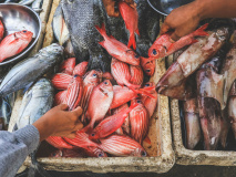 Marché aux poissons