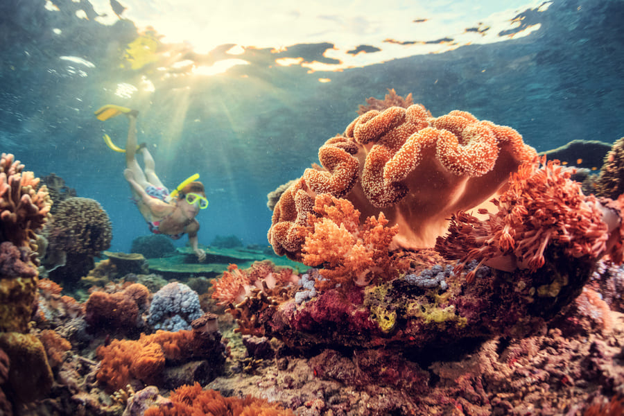 Snorkeling à Pemuteran