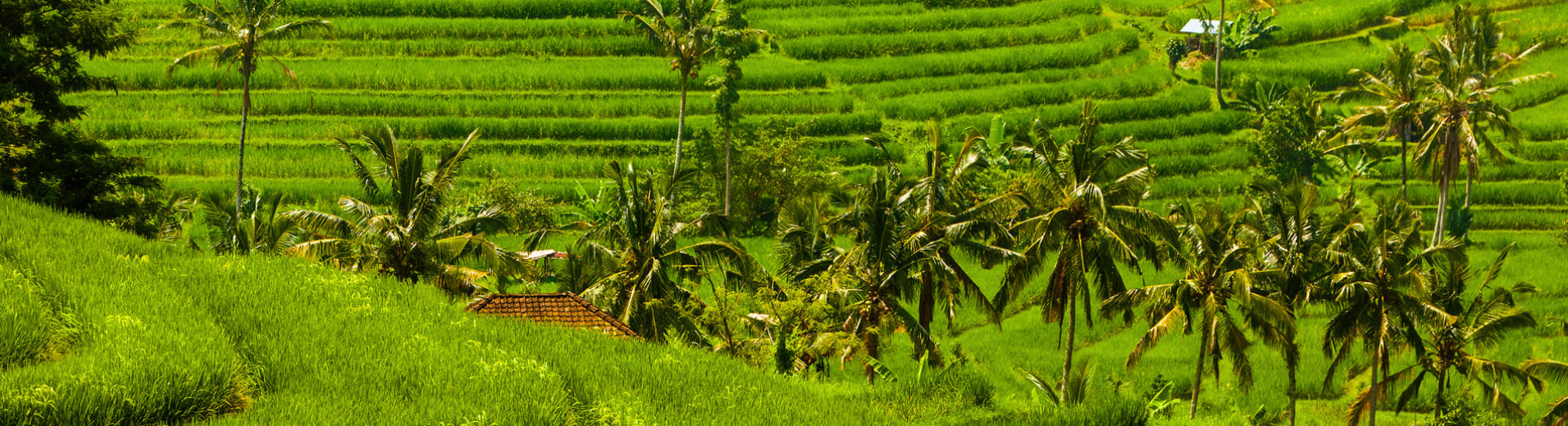 Circuit à Bali et Lombok entre plages et traditions
