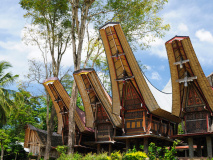 Tana Toraja - village traditionnel