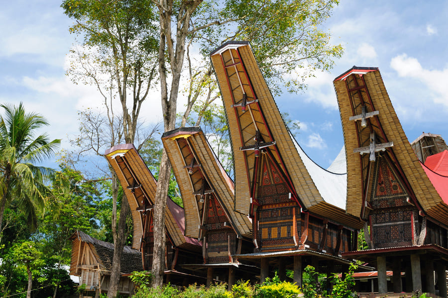 Tana Toraja - village traditionnel