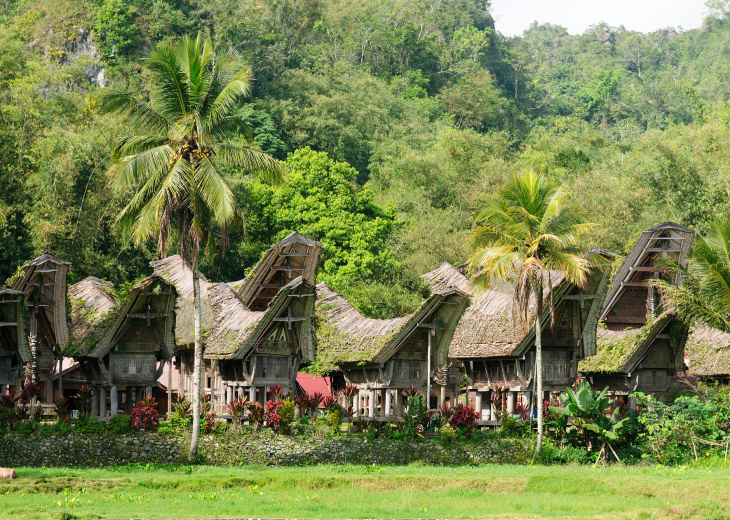 Toraja village - Sulawesi