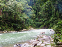 Rivière à Bukit Lawang