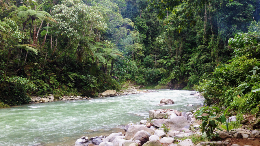 Rivière à Bukit Lawang