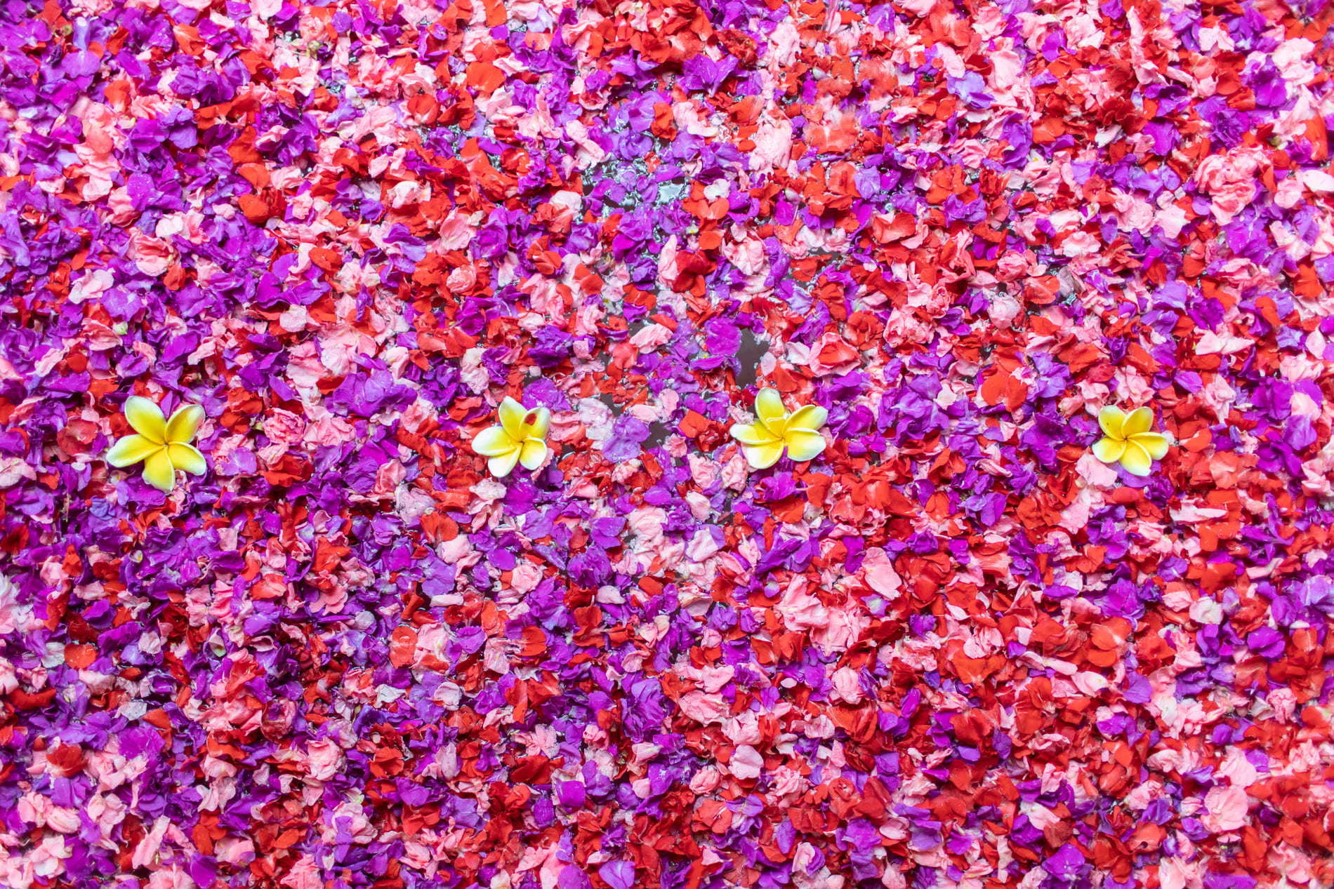 Bain aux fleurs Bali