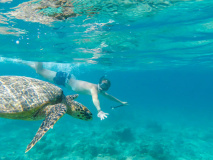 Snorkeling aux îles Gili