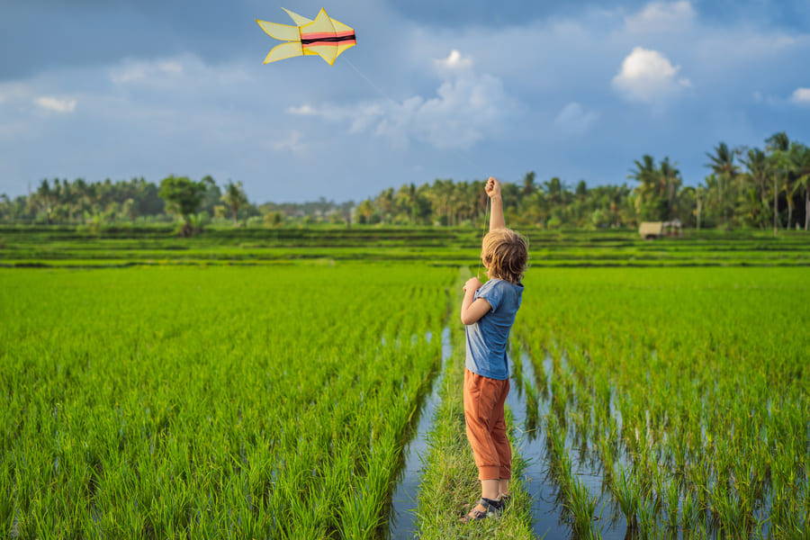 Fabrique de cerf-volant à Bali