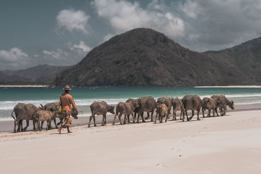 Lombok