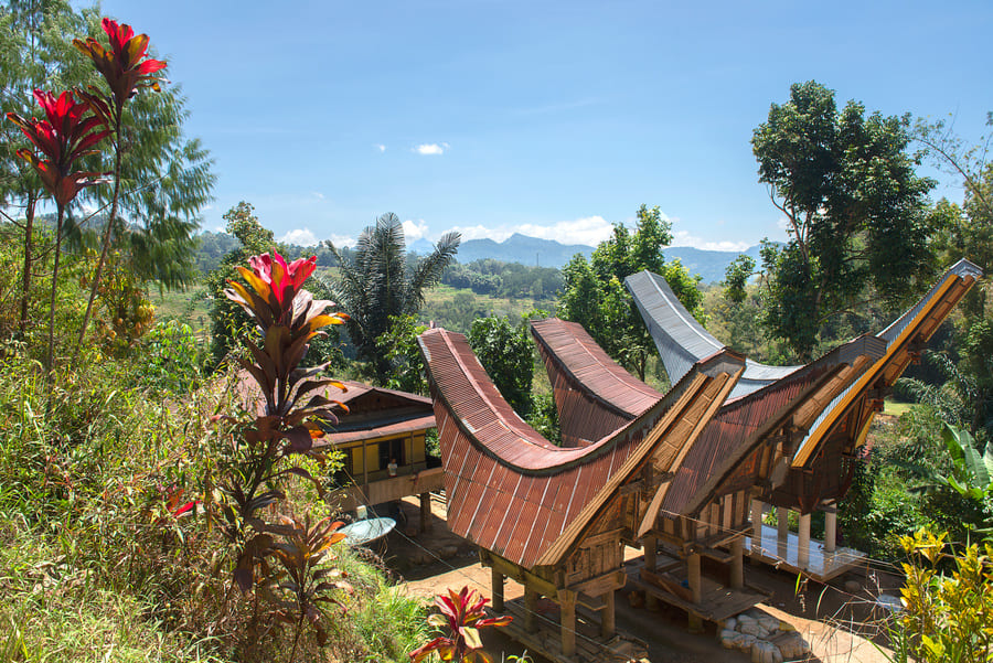 Tana Toraja