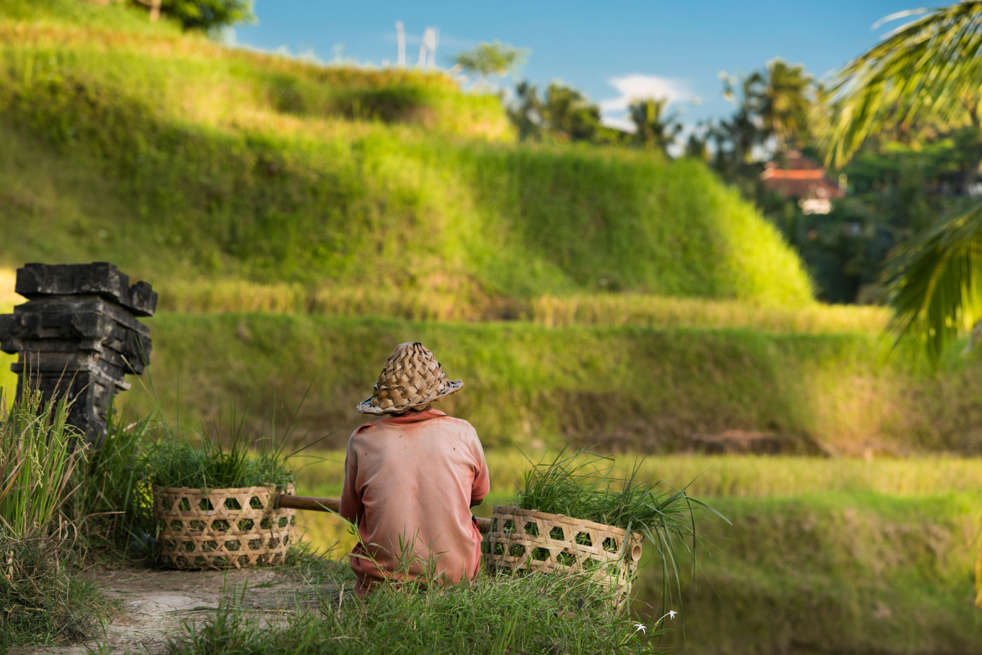 agence-indonesie