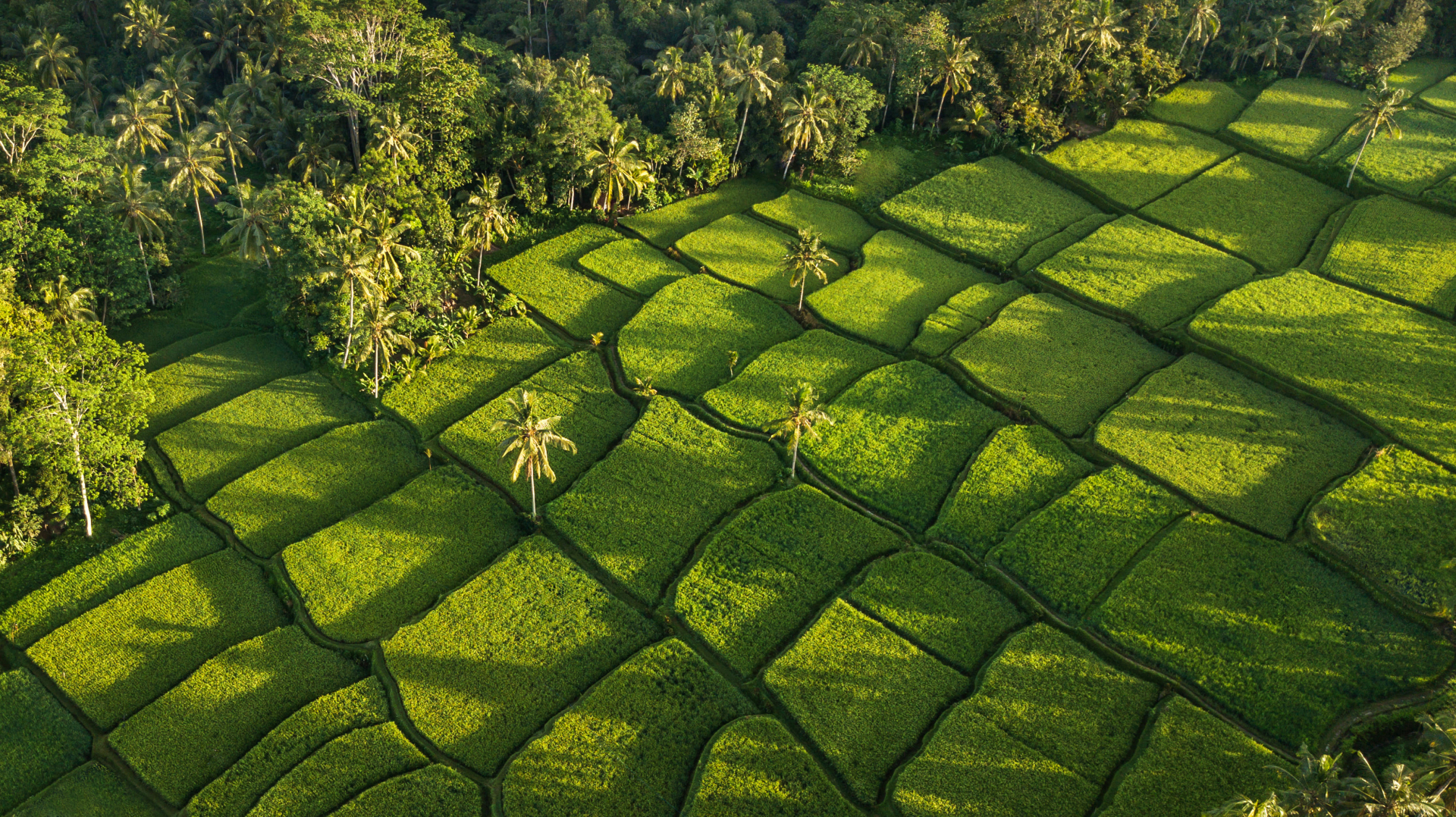 les-iles-dindonesie