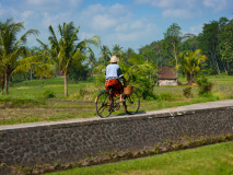 Balade à vélo à Ubud