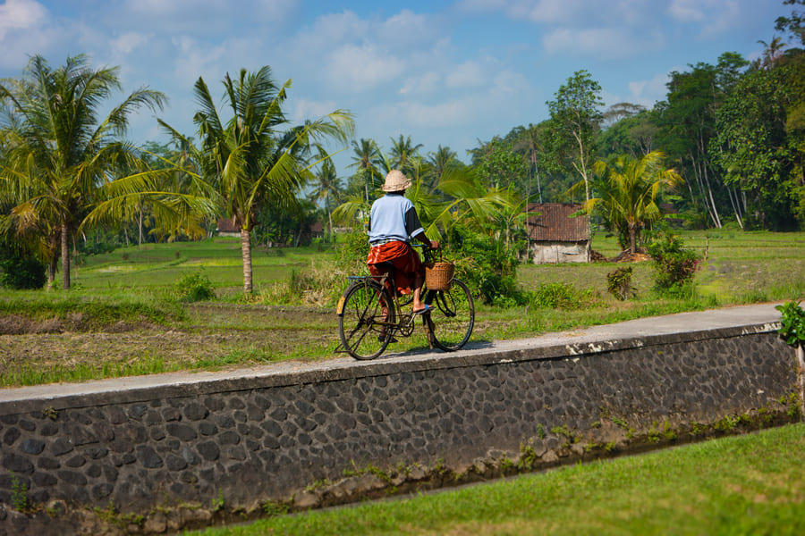 Balade à vélo à Ubud