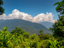 Paysage Gunung Leuser