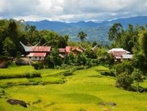 Toraja village