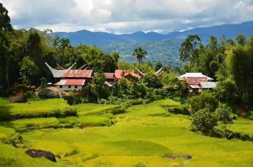 Toraja village