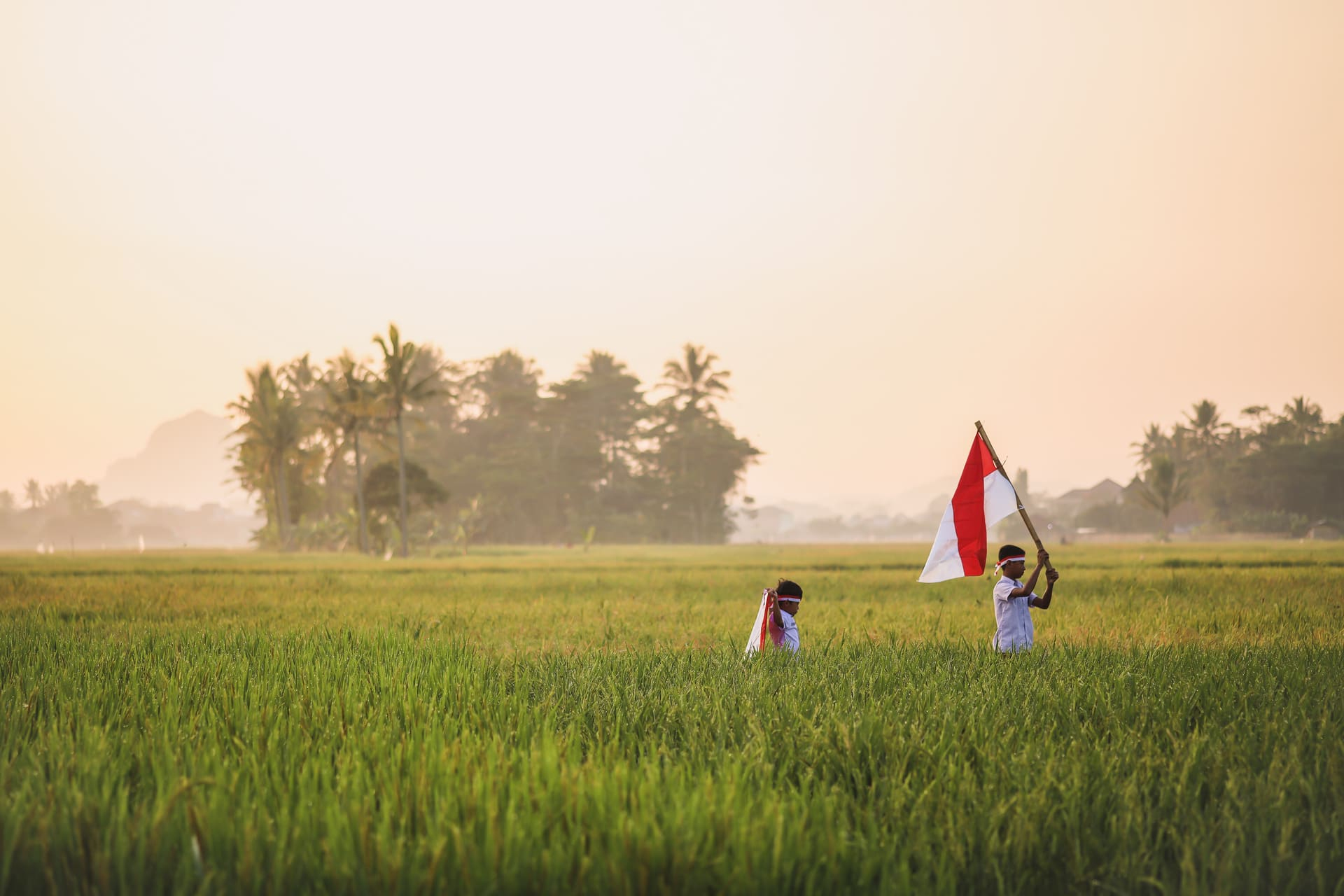 drapeau-indonesie