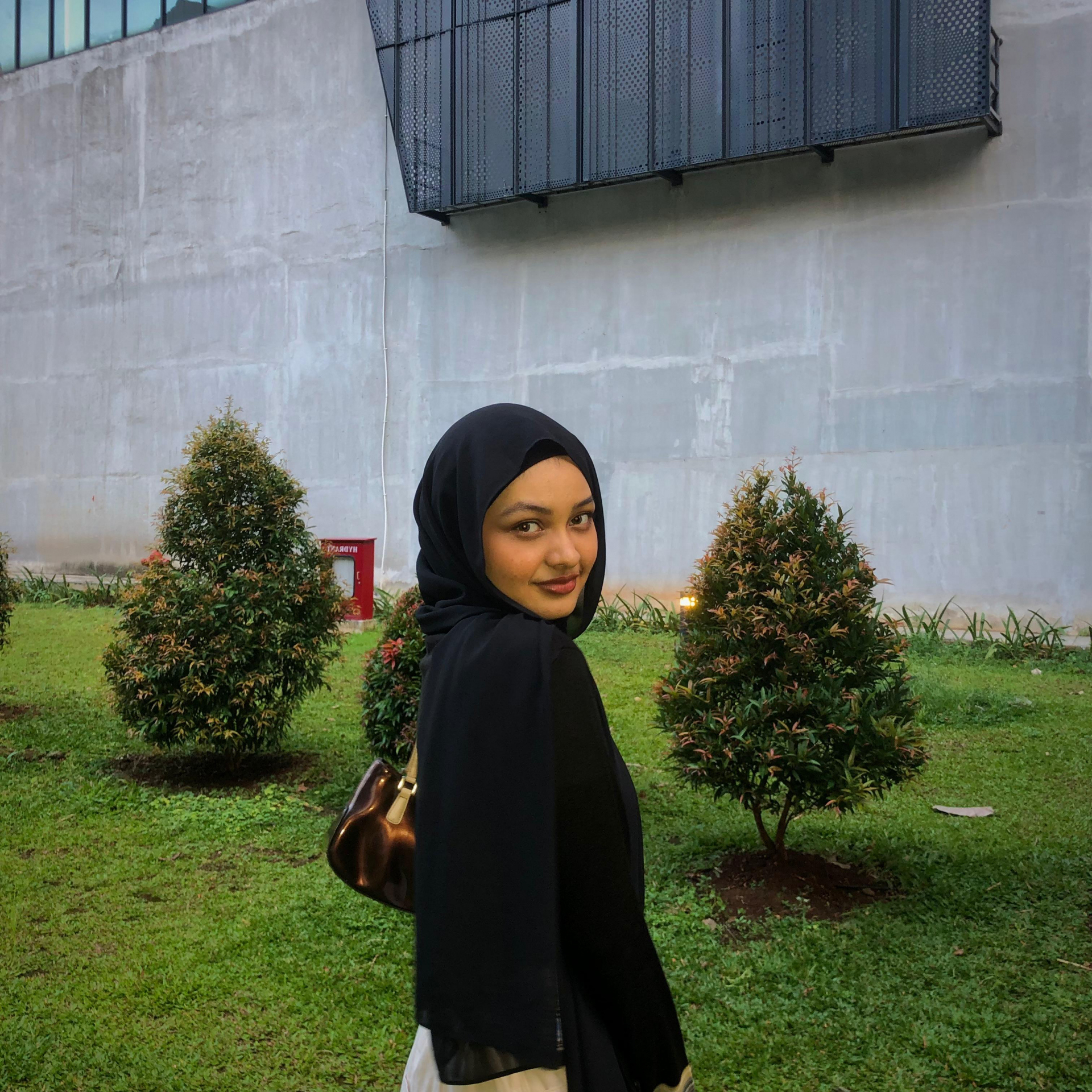 hanny