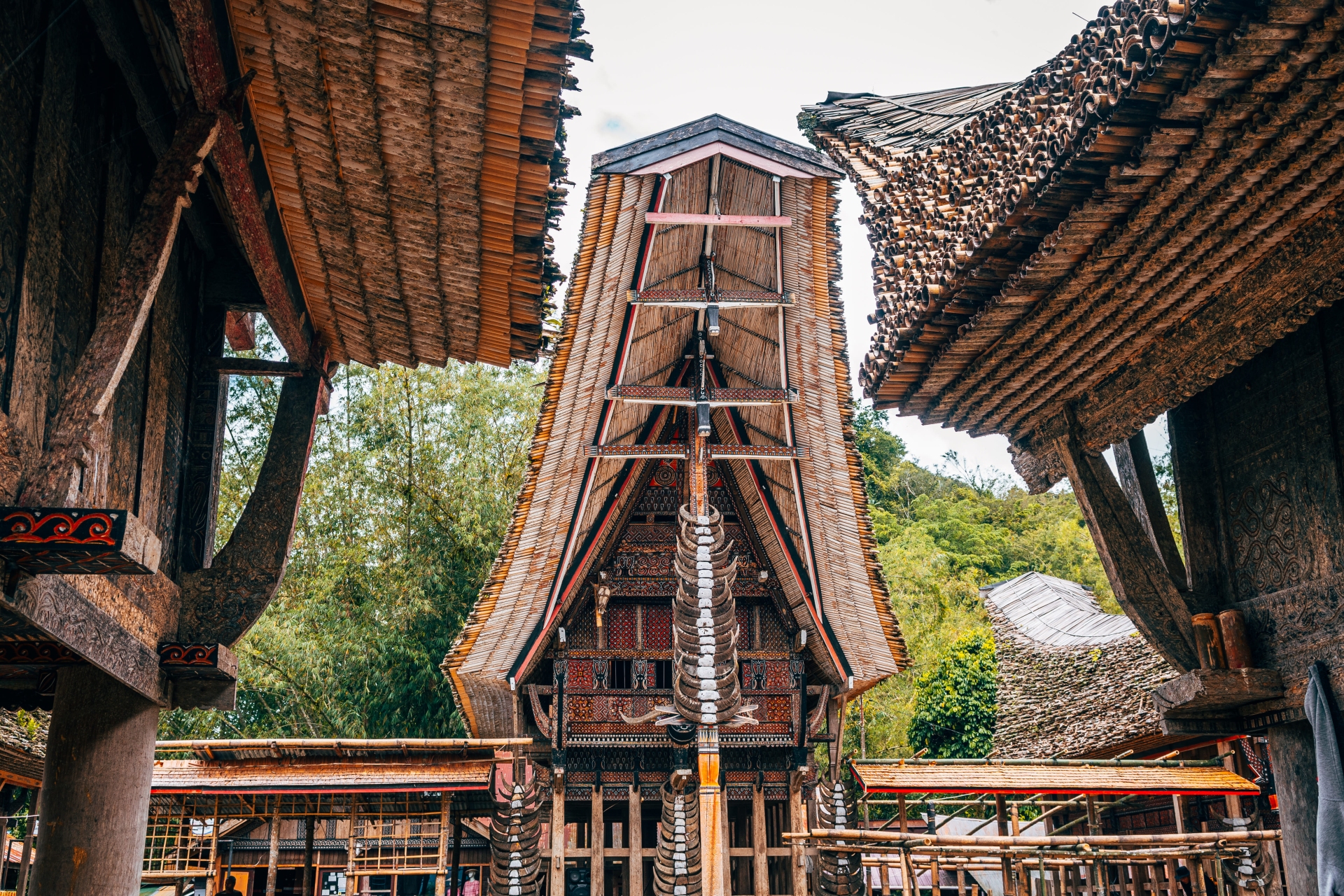 Maison traditionnelle Tana Toraja