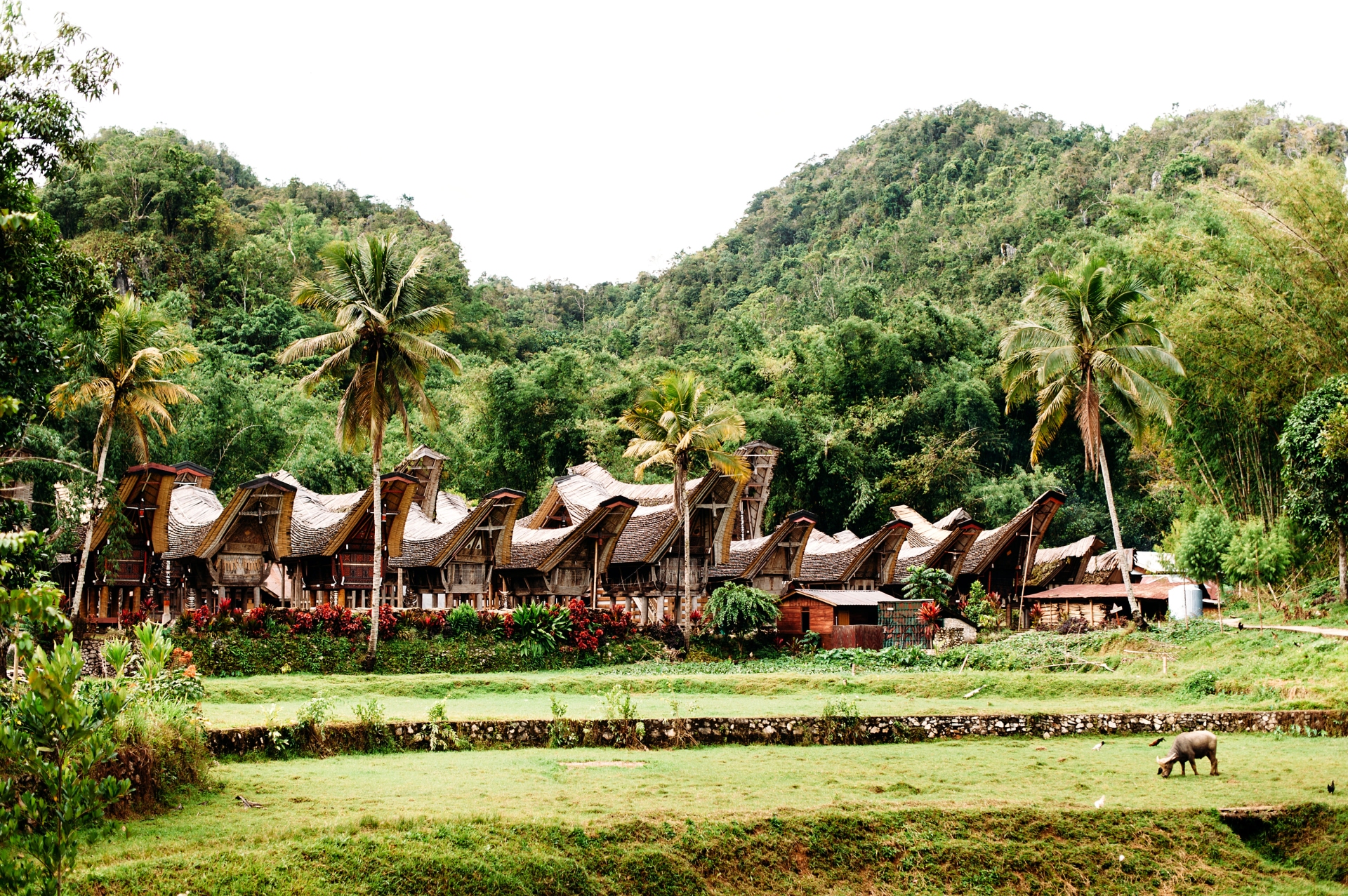 Village traditionnel de Tana Toraja
